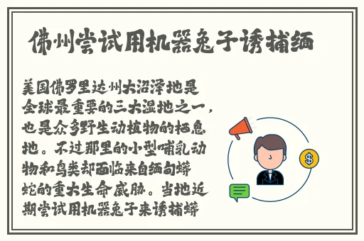 911制品厂麻花官方网站首页